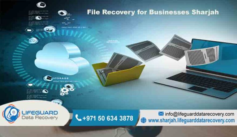 File Recovery for Businesses Sharjah