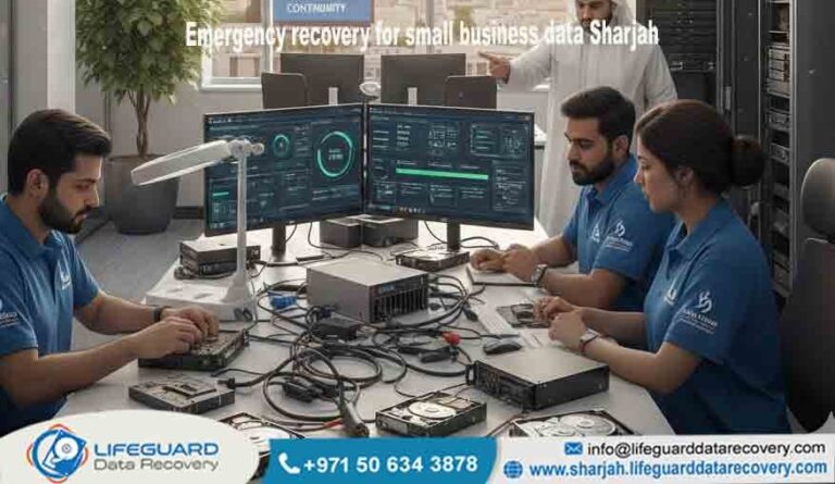 Emergency recovery for small business data Sharjah